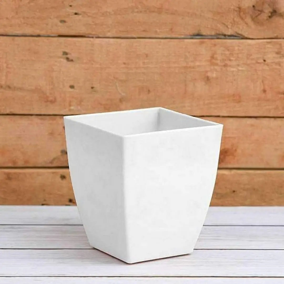 Nutts Flower Pot , Planters for Home Decoration (1)