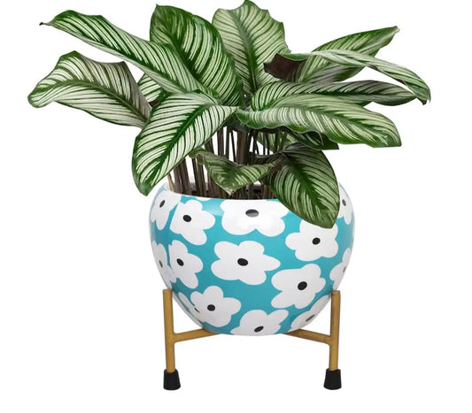 Classic Pot For Home Decor